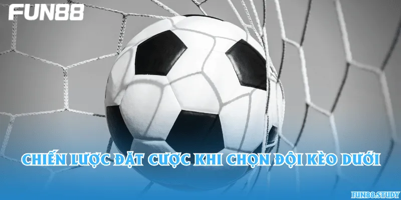 Chiến lược đặt cược khi chọn đội kèo dưới
