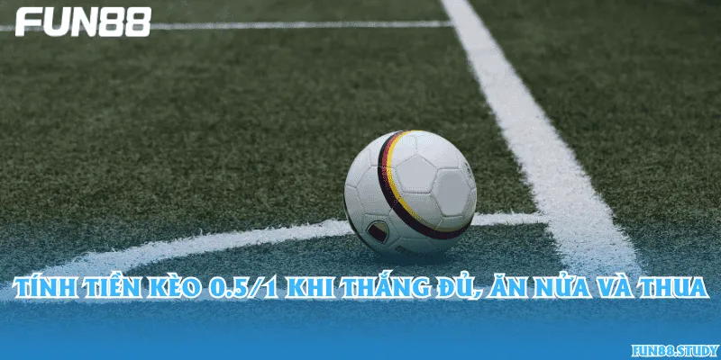 Tính tiền kèo 0.5/1 khi thắng đủ, ăn nửa và thua